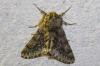 243779 – Photo : alain Roujas – France (31)